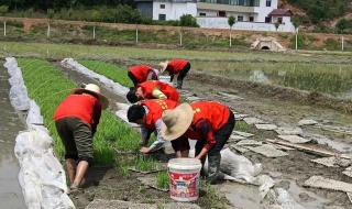 北京朝阳区距离江西赣州兴国县有多远